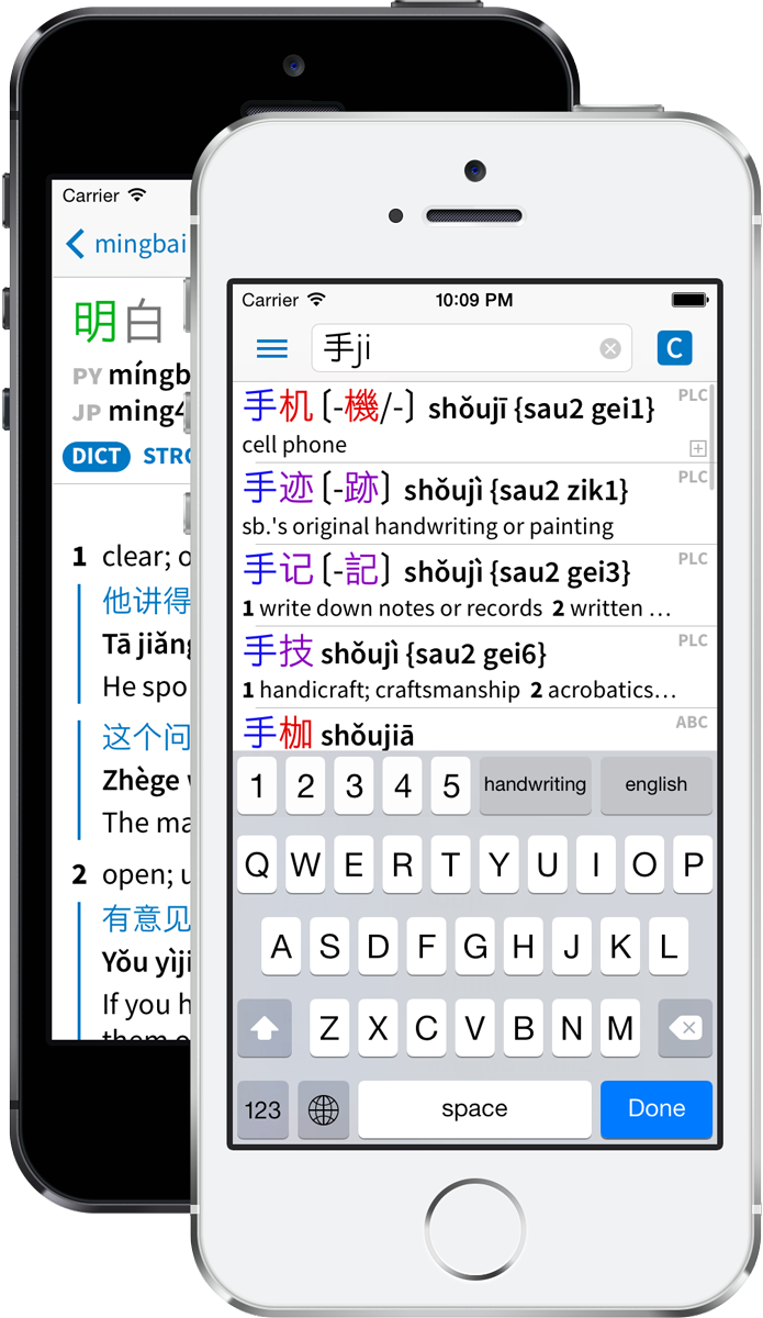 download pleco chinese dictionary